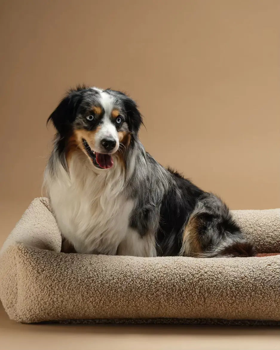 wigiwama-pet-snuggle-bed-l-biscuit-lit-chien-teddy-r-versible image 3
