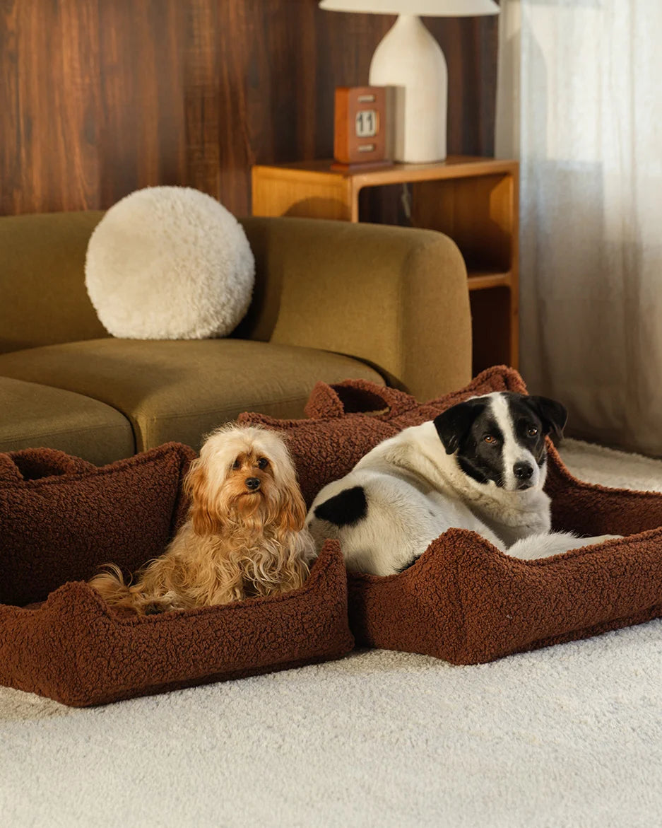 wigiwama-pet-club-chair-m-warm-hazel-lit-chien-design-teddy image 6