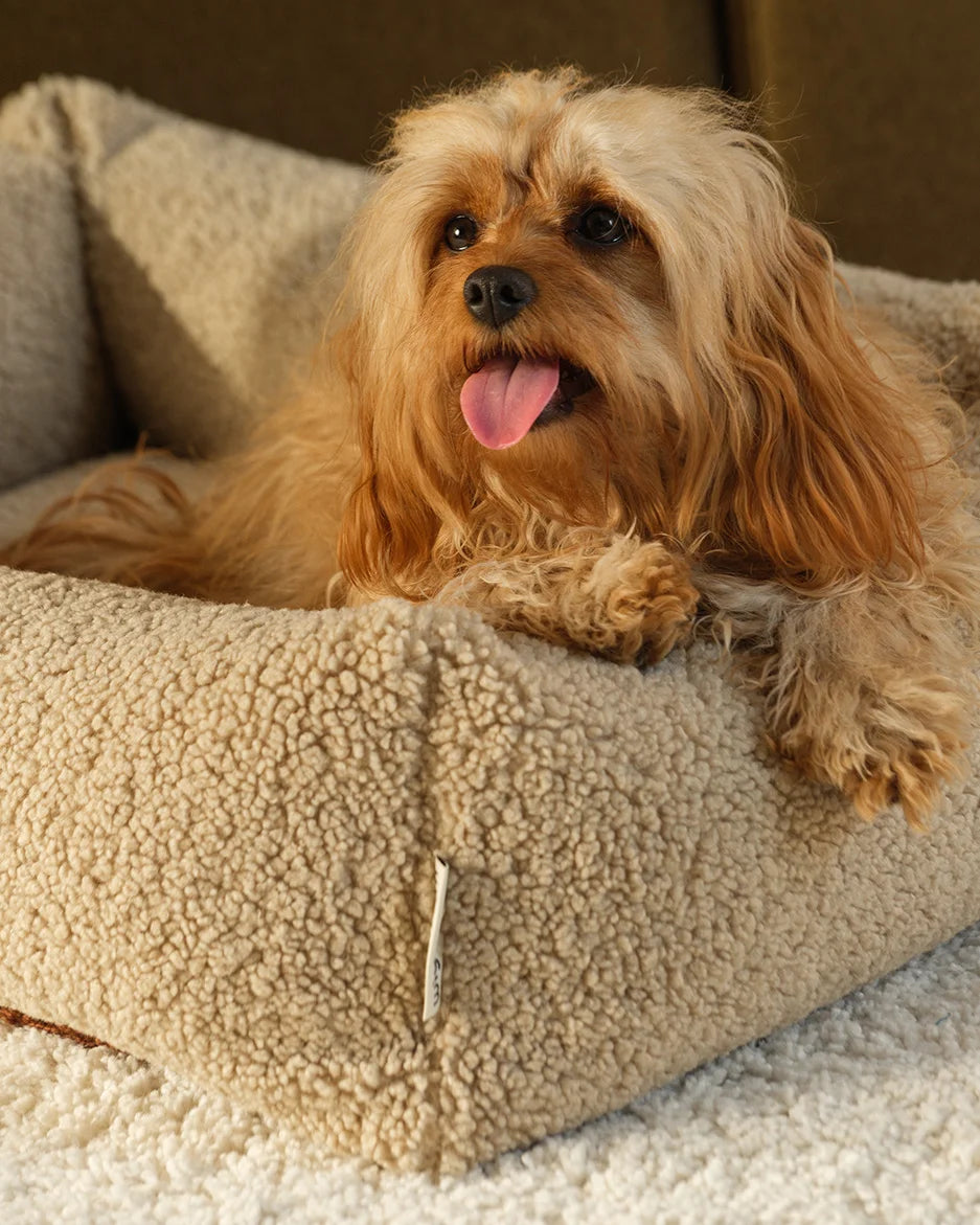 wigiwama-biscuit-pet-snuggle-bed-m-lit-chien-teddy-r-versible image 2
