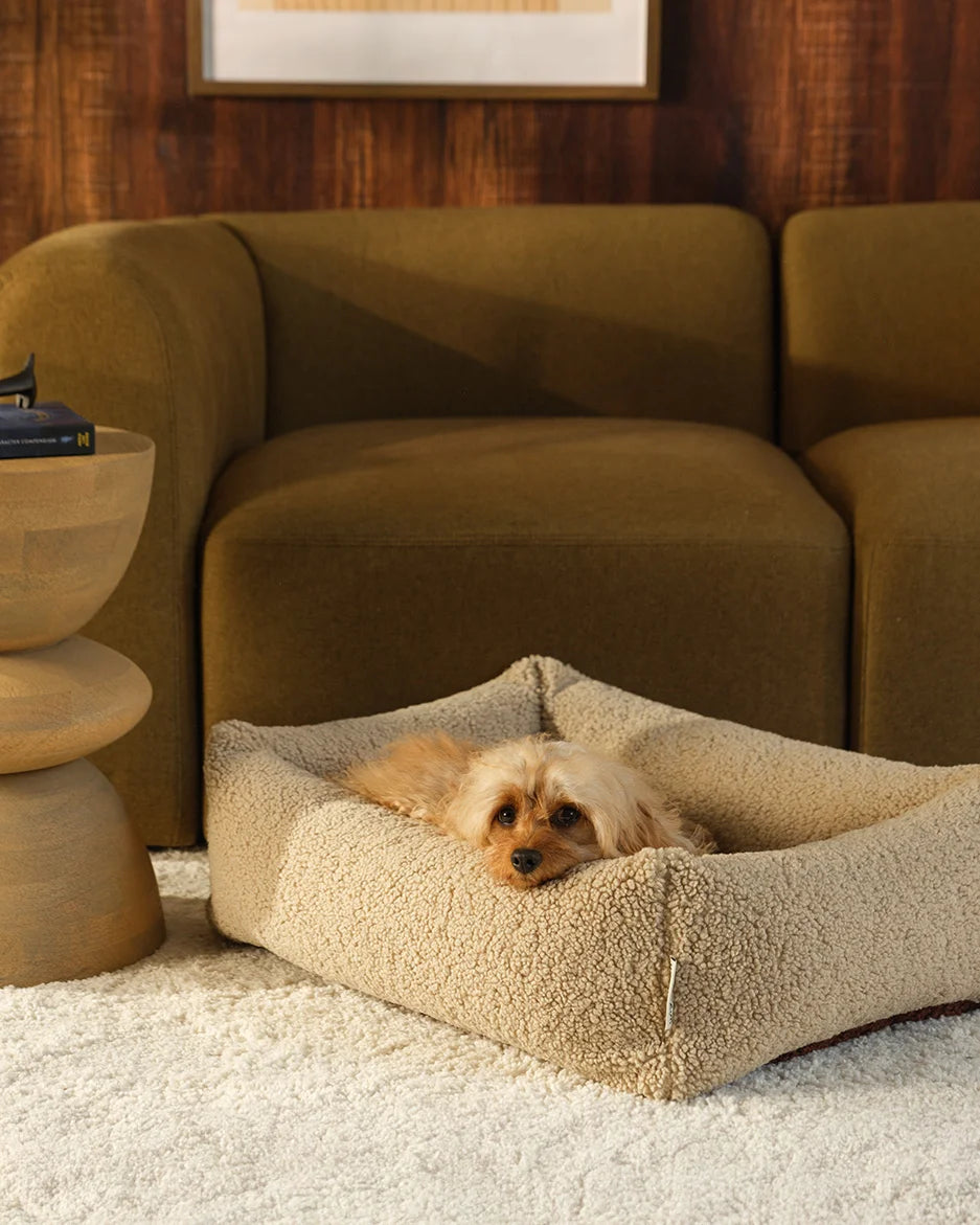 wigiwama-biscuit-pet-snuggle-bed-m-lit-chien-teddy-r-versible image 5