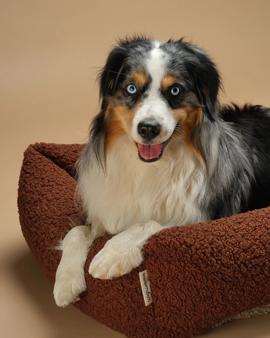 wigiwama-pet-snuggle-bed-l-warm-hazel-lit-chien-teddy-r-versible image 3