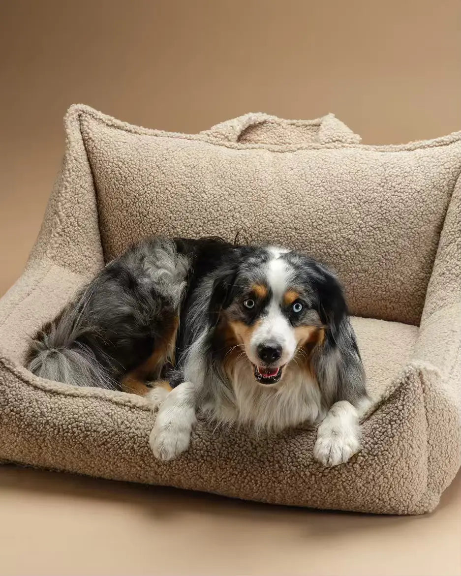 wigiwama-pet-club-chair-l-biscuit-lit-chien-teddy image 5