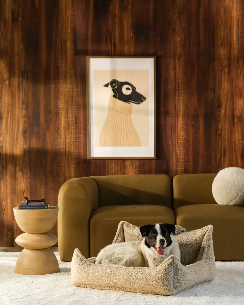 wigiwama-pet-club-chair-l-biscuit-lit-chien-teddy image 2