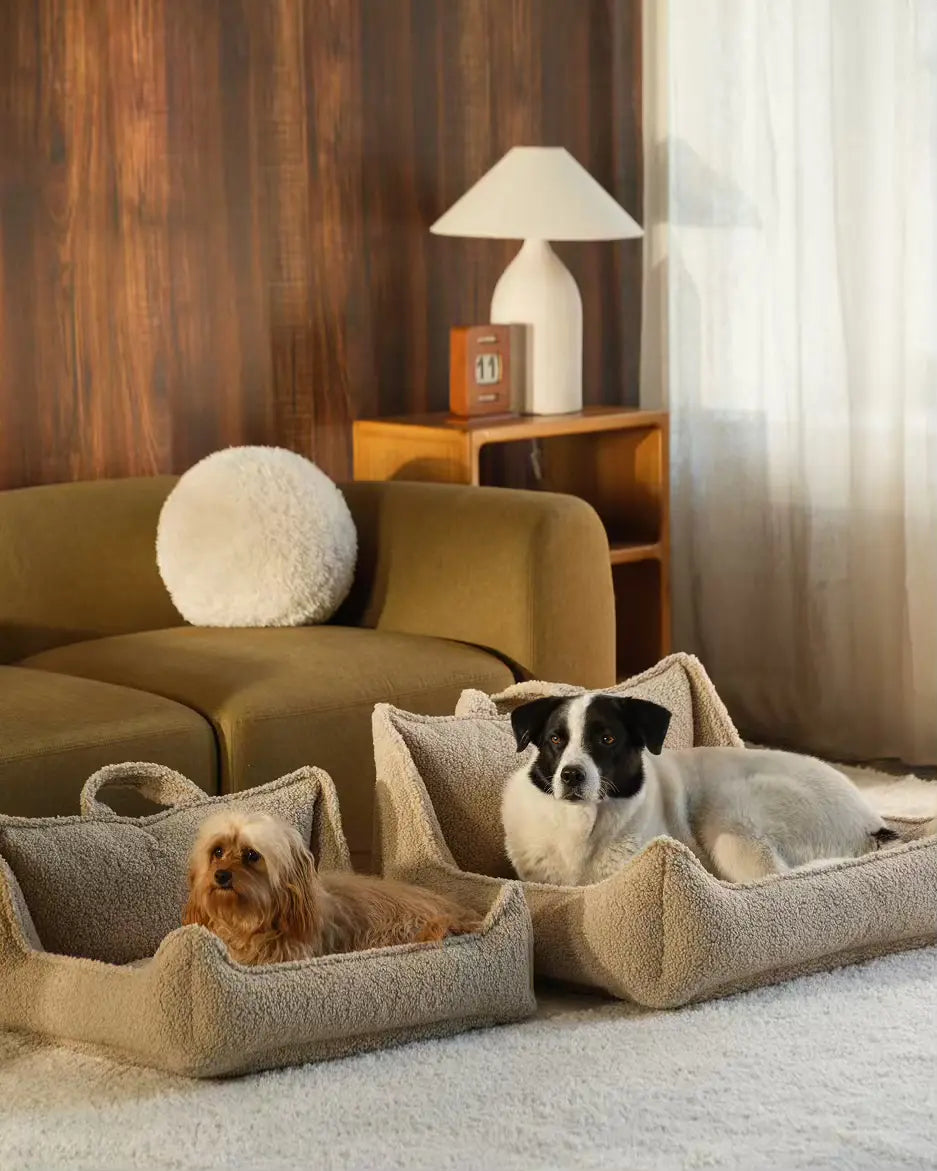 wigiwama-biscuit-pet-club-chair-m-lit-chien-teddy image 5
