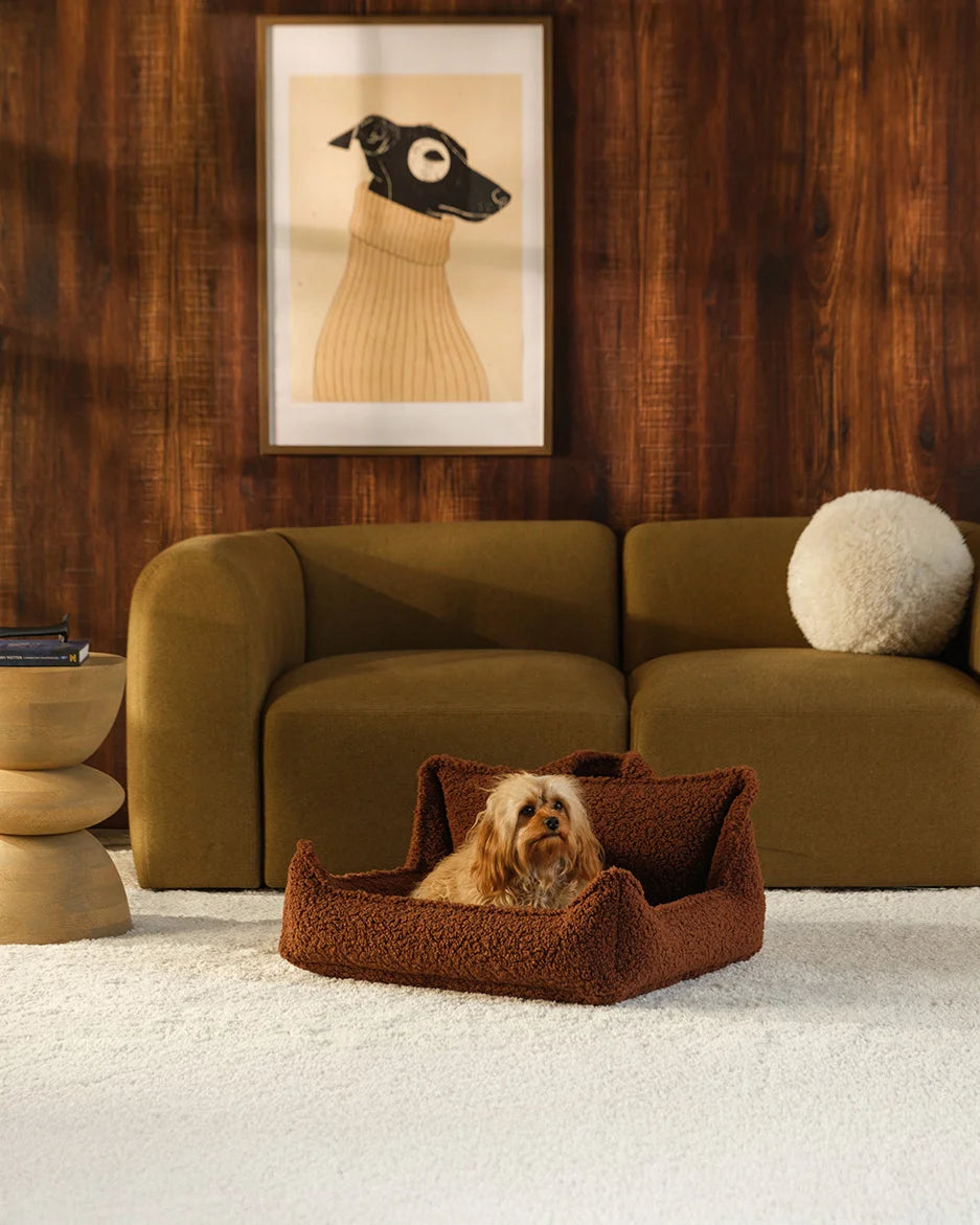 wigiwama-pet-club-chair-m-warm-hazel-lit-chien-design-teddy image 2