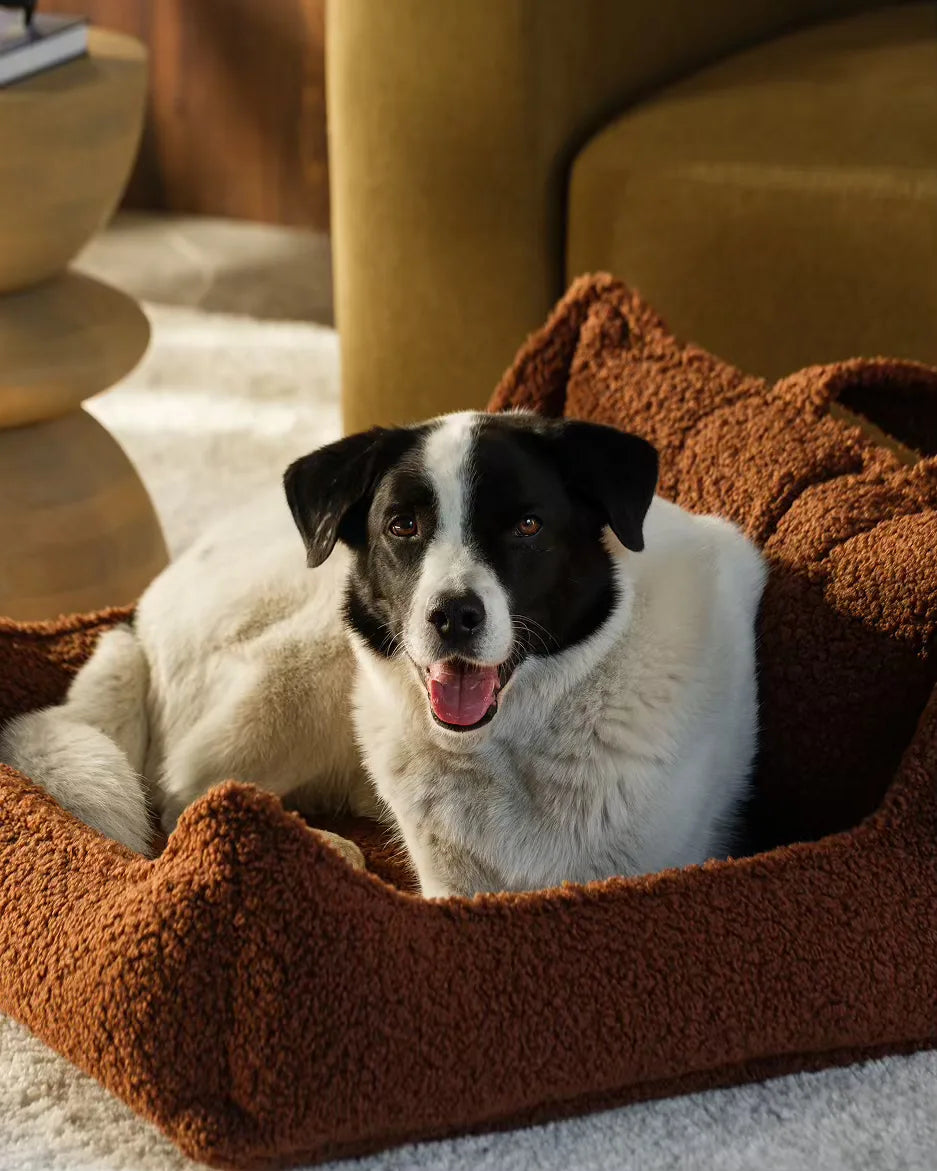 wigiwama-pet-club-chair-l-warm-hazel-lit-chien image 5