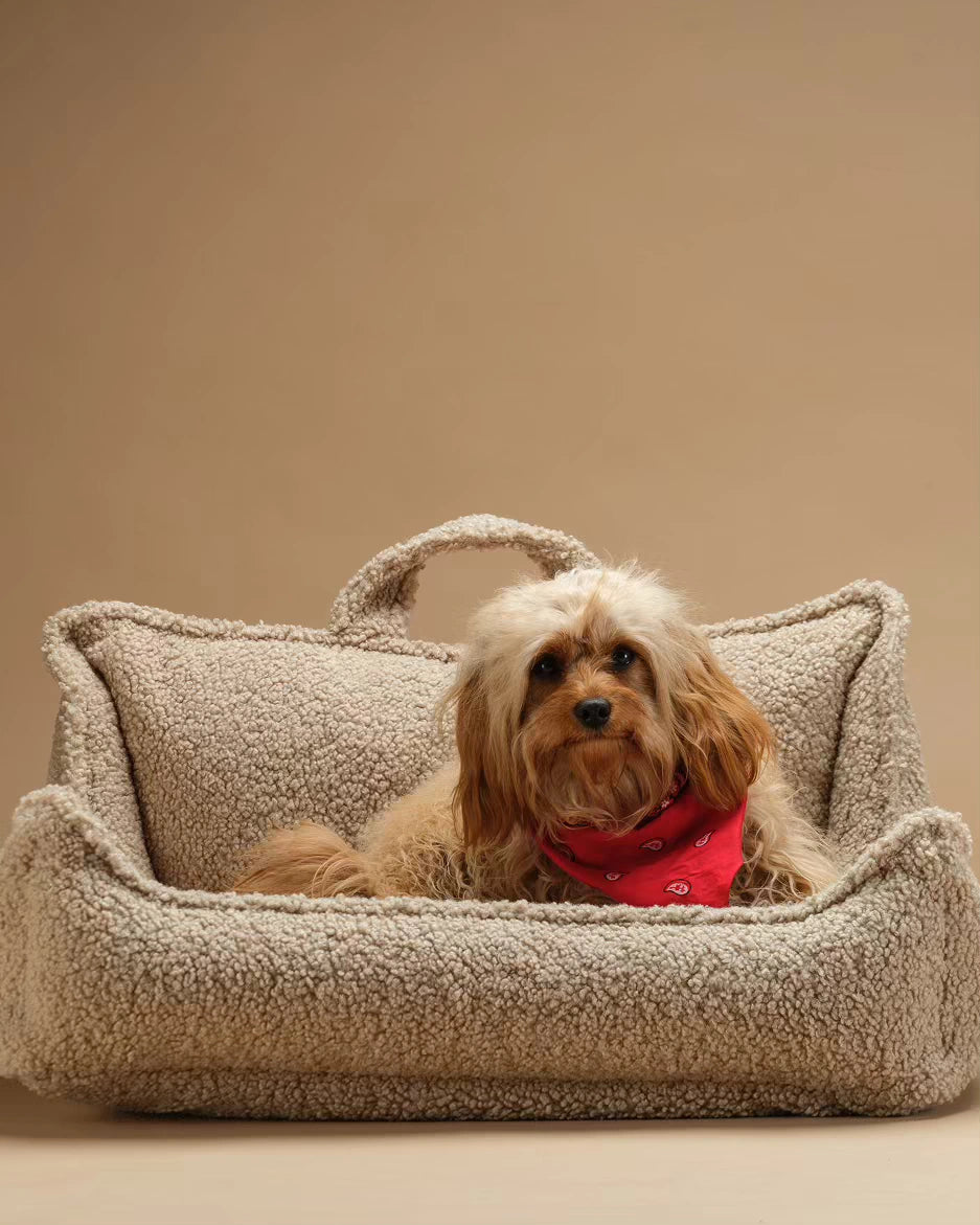 wigiwama-biscuit-pet-club-chair-m-lit-chien-teddy image 2