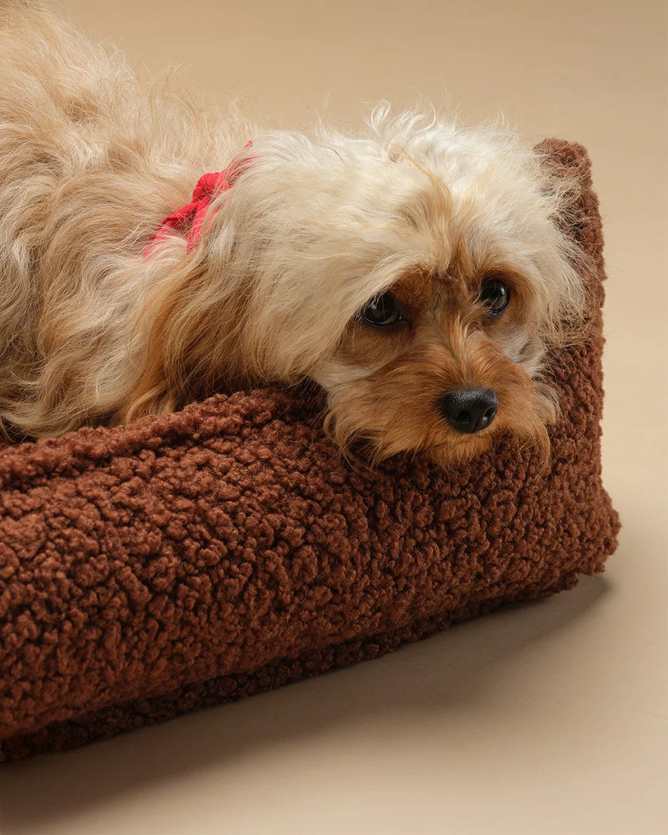 wigiwama-pet-club-chair-m-warm-hazel-lit-chien-design-teddy image 3